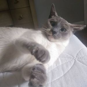 Meet your Posher, Dorothy